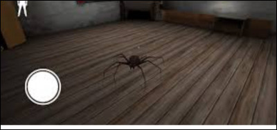 As-tu peur de l'araignée qui se trouve dans le grenier ?