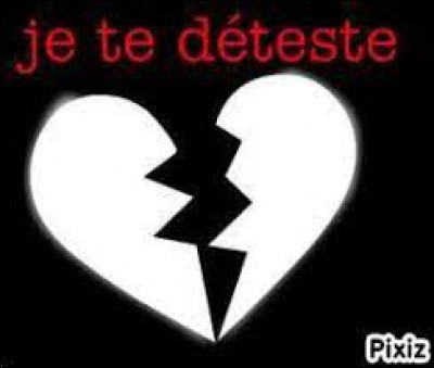 Tu détestes
