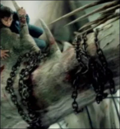 Dans quel HP y a-t-il cette scène ?