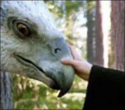 Dans quel HP y a-t-il cette scène ?