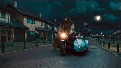 Suite à quel événement Harry est-il arrivé chez son oncle et sa tante ?