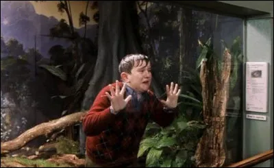 Pourquoi le cousin de Harry sort-il mouillé du zoo ?