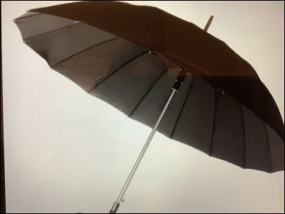 Qui est mort avec un parapluie ?