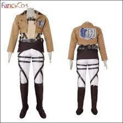 De quel anime provient cet habit ?