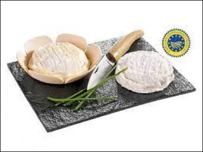 Dans quelle région le Saint-Marcellin est-il fabriqué ?