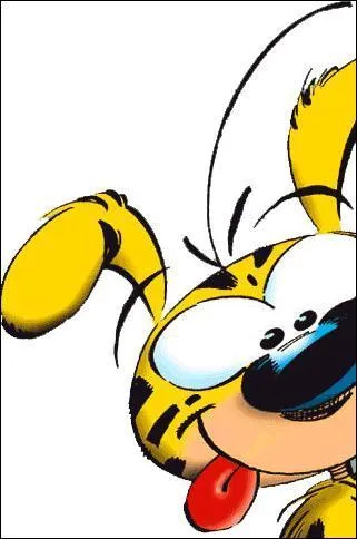 Marsupilami a :