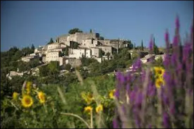 Village d'Auvergne-Rhône-Alpes, dans l'arrondissement de Nyons, La Laupie se situe dans le département ...