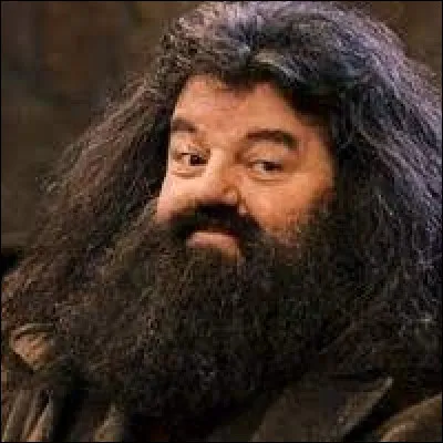 Pourquoi Hagrid a-t-il été renvoyé de Poudlard ?