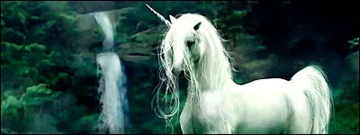 Quel est le nom du professeur qui remplace Hagrid ?