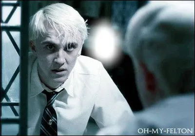 Quel acteur interprète Drago Malefoy ?
