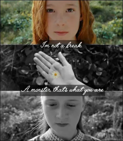 Quel est le lien qui unit Pétunia à Harry ?