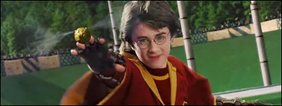 Quel est le premier balai de Harry ?