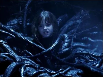 De quoi a peur le Filet du Diable (dans les livres) ?