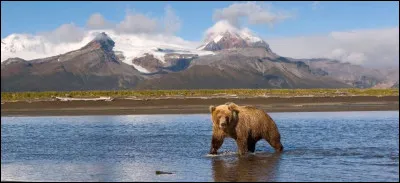 8. À quel pays les îles Aléoutiennes appartiennent-elles ?