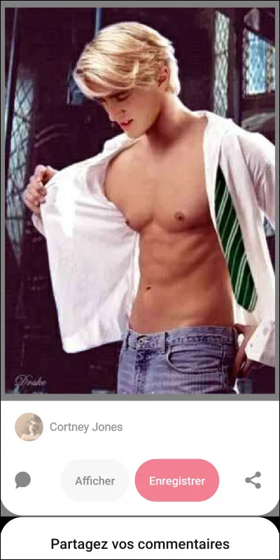 Quel horcruxe préfères-tu ?