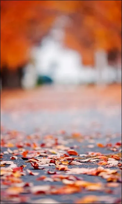 Laquelle de ces villes est traversée par la Seine ?