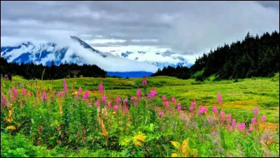 Comment se dit "août" en anglais ?