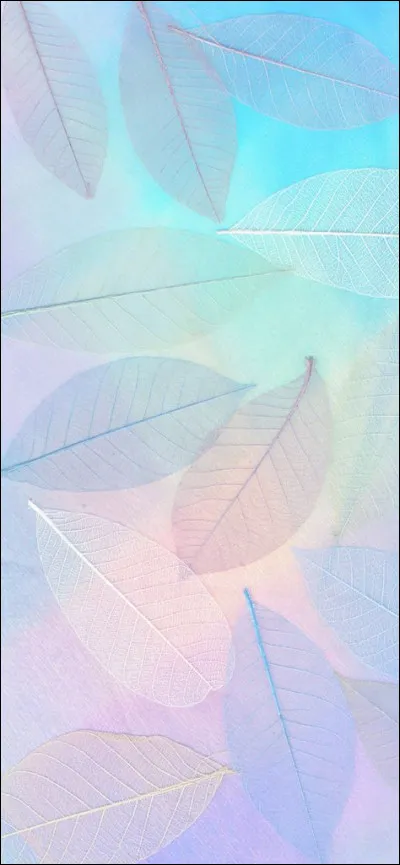 Sur quel objet du quotidien retrouve-t-on une lunette ?