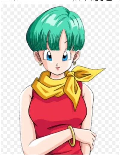 Qui est le premier amoureux de Bulma ?