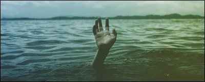 Si tu devais sauver une seule de ces personnes ou un seul de ces objets, ce serait :