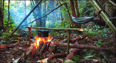 Est-ce que tu survivrais en nature ?