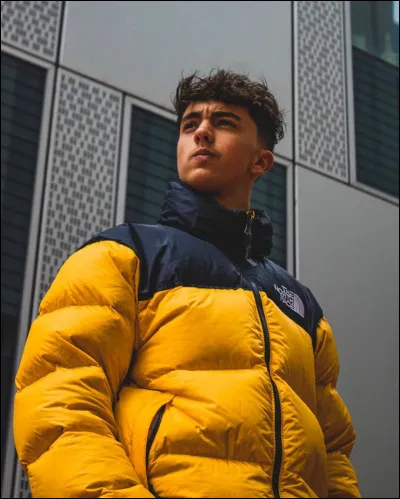 En quelle année a-t-il débuté YouTube ?