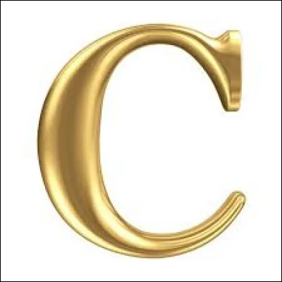 Que désigne une "saie" ?