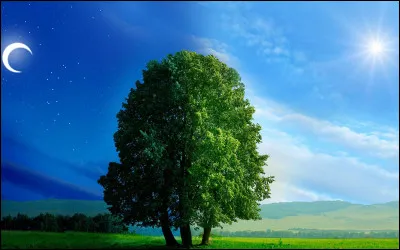 Et combien de lettres ton mois de naissance contient-il ?