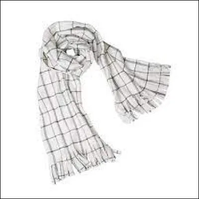 Le héros s'appelle Natsu dans :