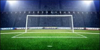 Y a-t-il des paniers ou des buts ?