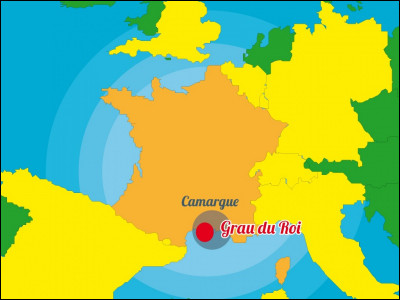 Pour cette première question, nous partirons pour la Camargue en France. Quel constructeur a produit un modèle portant le nom de "Camargue" ?