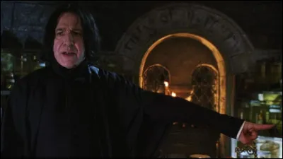 Que suggère Severus Rogue aux professeurs Dumbledore et McGonagall à propos de la situation de Ron et Harry ? (concernant la voiture volante)