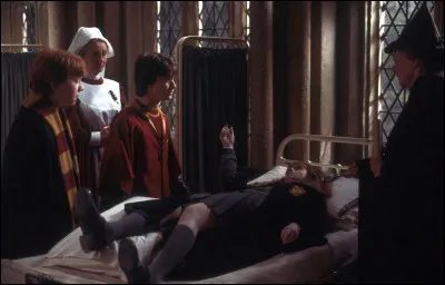 Comment Hermione sest-elle retrouvé pétrifiée ?