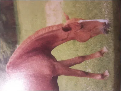 Comment se nomme cette robe ?