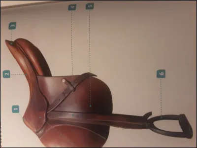 Comment sappelle la partie de la selle numéro 5 ?
