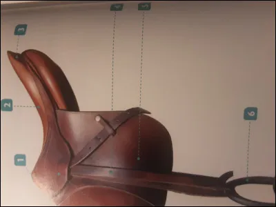 Comment s'appelle la partie de selle numéro 1 ?