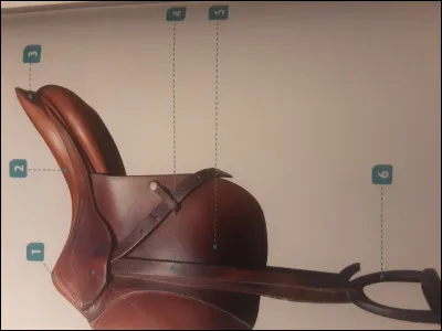 Comment sappelle la partie de la selle numéro 3 ?