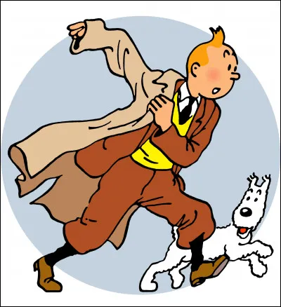 Dans quel journal Tintin appara&icirc;t-il ?