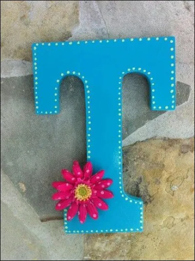 Tamandua : quel est cet animal ?