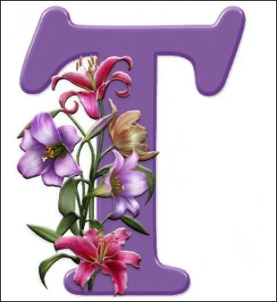 Truffier : lequel de ces chiens n'est (en général) pas apte à devenir un chien truffier ?