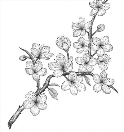 T�occupes-tu de tes plantes ?