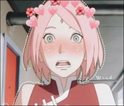 Ton élément préféré est :