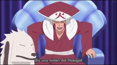 Kiba est-il devenu hokage ?