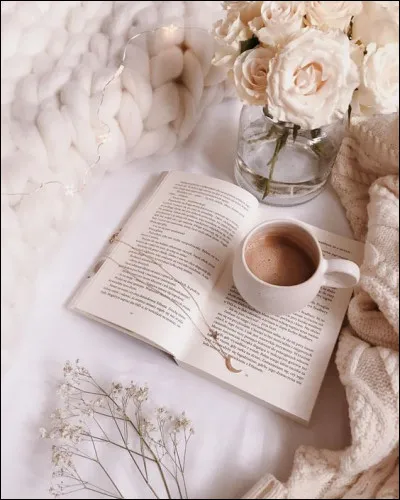 C'est la saison du voyage de Georges Perec !