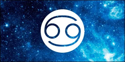 À quoi correspond cette image ?