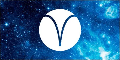 À quoi correspond cette image ?