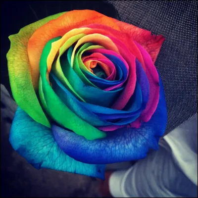 Quelle est ta couleur préférée ?