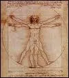 Peintre, sculpteur et homme d'esprit universel, je suis également scientifique, ingénieur, inventeur, anatomiste, etc. Voici une de mes études des proportions du corps humain, il s'agit de