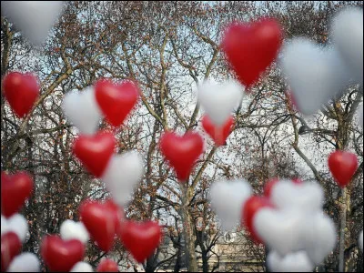 Quelles fleurs sont le symbole de la passion ?