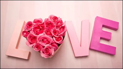 Quelle actrice joue dans le film "Love Story" ?